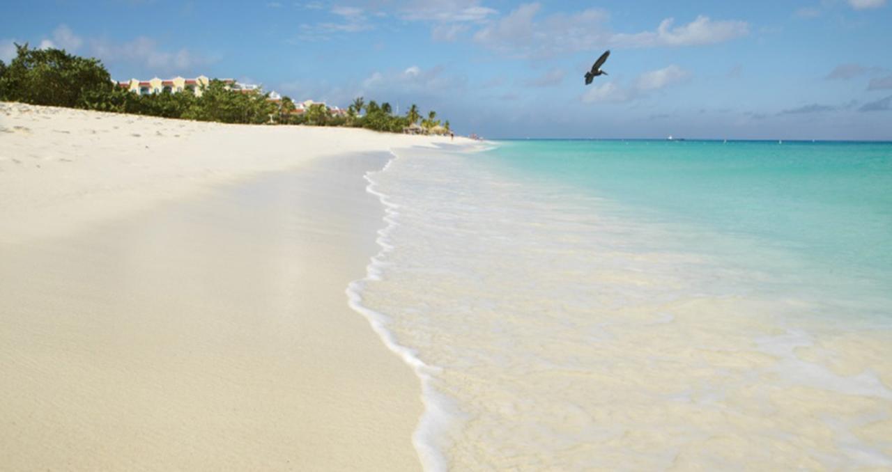 Buddha Studios Aruba Palm Beach Zewnętrze zdjęcie
